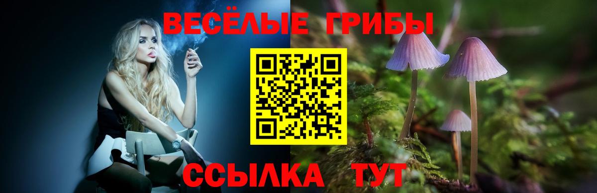 Ковров  Галлюциногенные грибы Cubensis  Вход с VPN 
